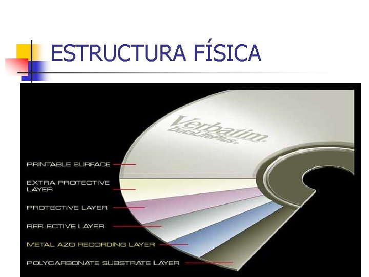 ESTRUCTURA FÍSICA ESTRUCTURA FÍSICA