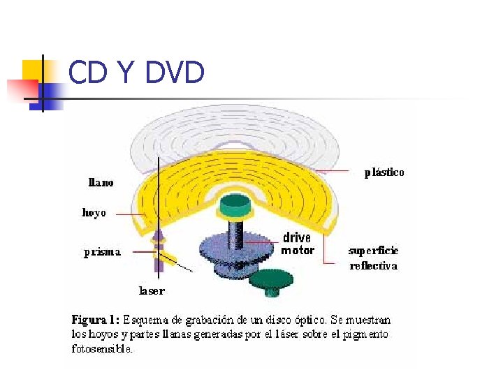 CD Y DVD CD Y DVD