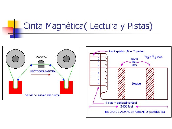 Cinta Magnética( Lectura y Pistas) Cinta Magnética( Lectura y Pistas)