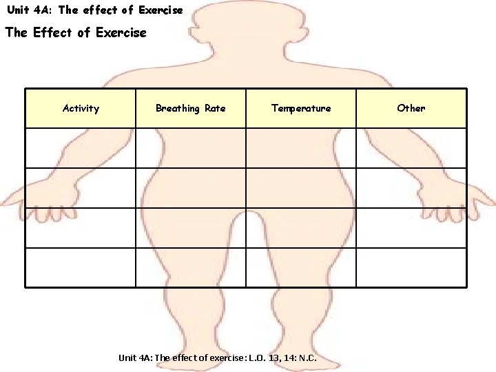 Unit 4 A: The effect of Exercise The Effect of Exercise Activity Breathing Rate