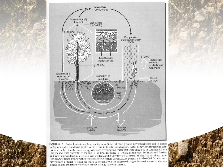 Lesson 5 Soil Water and the Hydrological Cycle