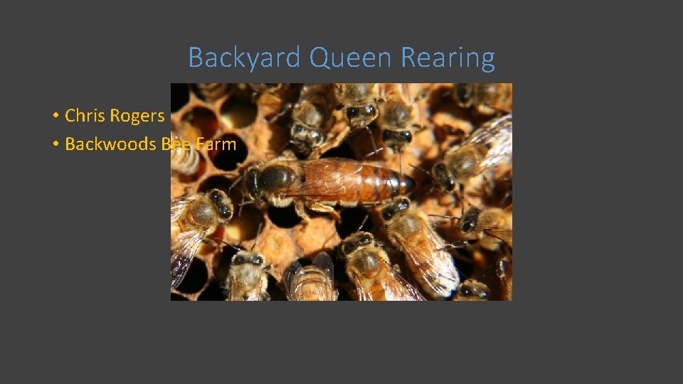 Backyard Queen Rearing • Chris Rogers • Backwoods Bee Farm 