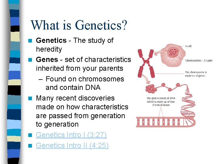 What is Genetics? n n n Genetics - The study of heredity Genes - What is Genetics? n n n Genetics - The study of heredity Genes -