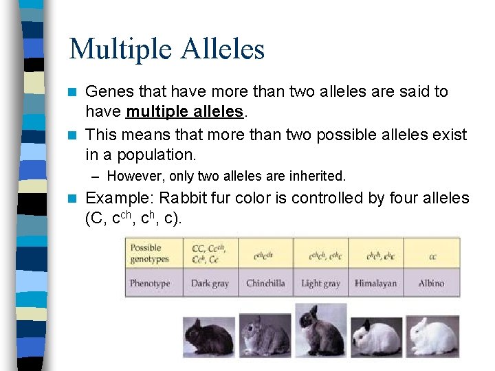 Multiple Alleles Genes that have more than two alleles are said to have multiple Multiple Alleles Genes that have more than two alleles are said to have multiple