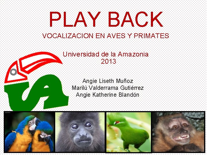 PLAY BACK VOCALIZACION EN AVES Y PRIMATES Universidad de la Amazonia 2013 Angie Liseth