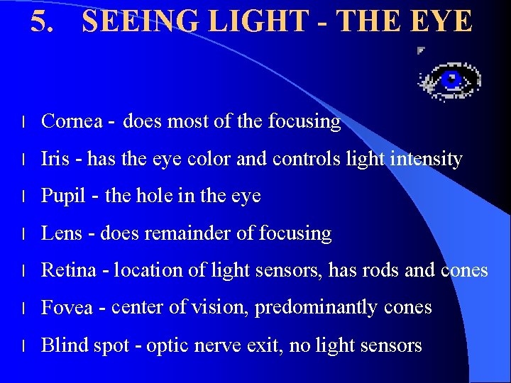 5. SEEING LIGHT - THE EYE l Cornea - does most of the focusing