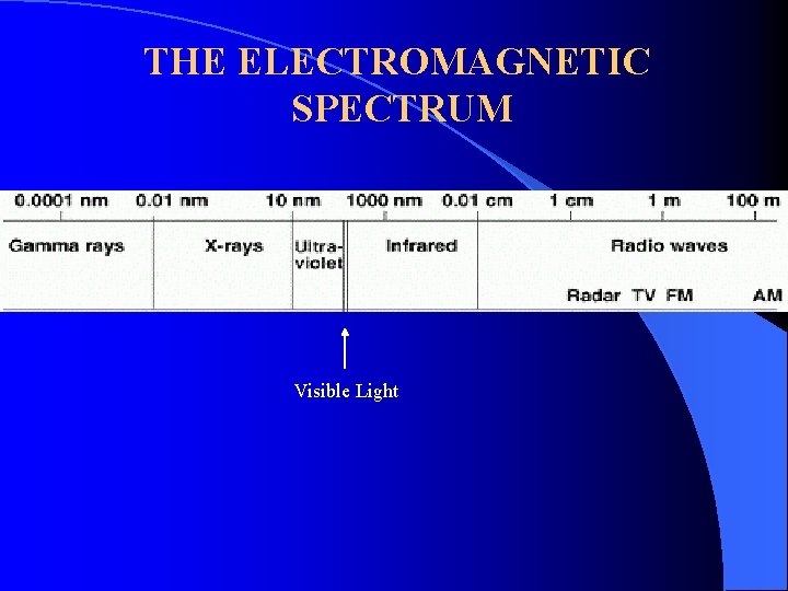 THE ELECTROMAGNETIC SPECTRUM Visible Light 