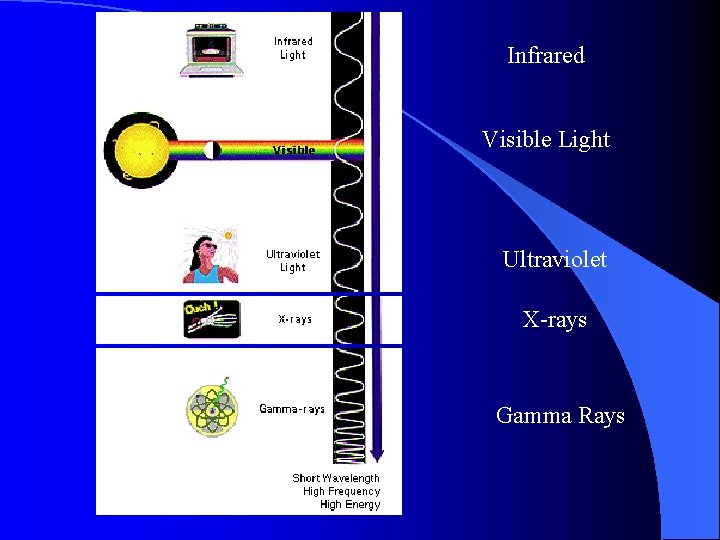 Infrared Visible Light Ultraviolet X-rays Gamma Rays 