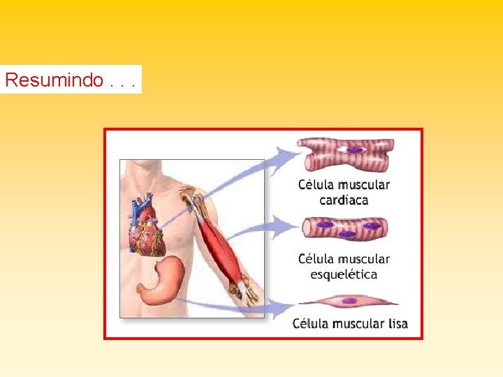 Resumindo. . . 