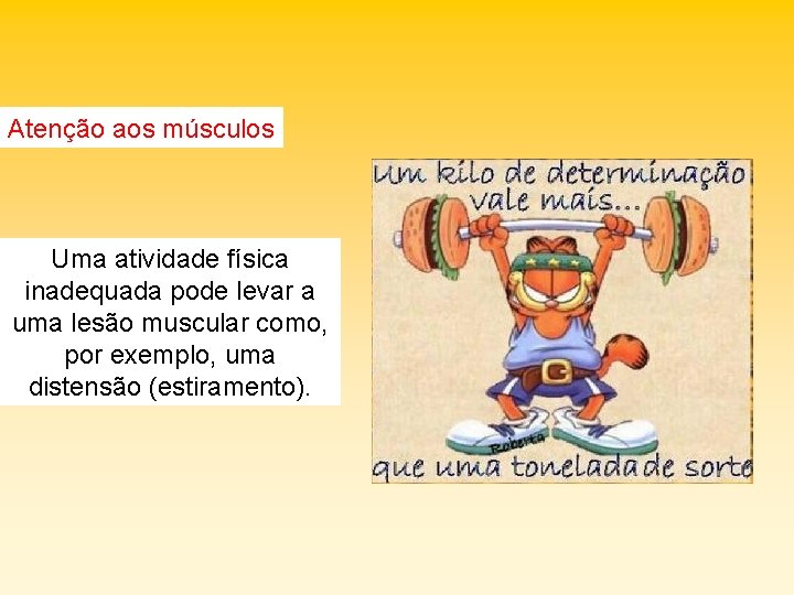 Atenção aos músculos Uma atividade física inadequada pode levar a uma lesão muscular como,