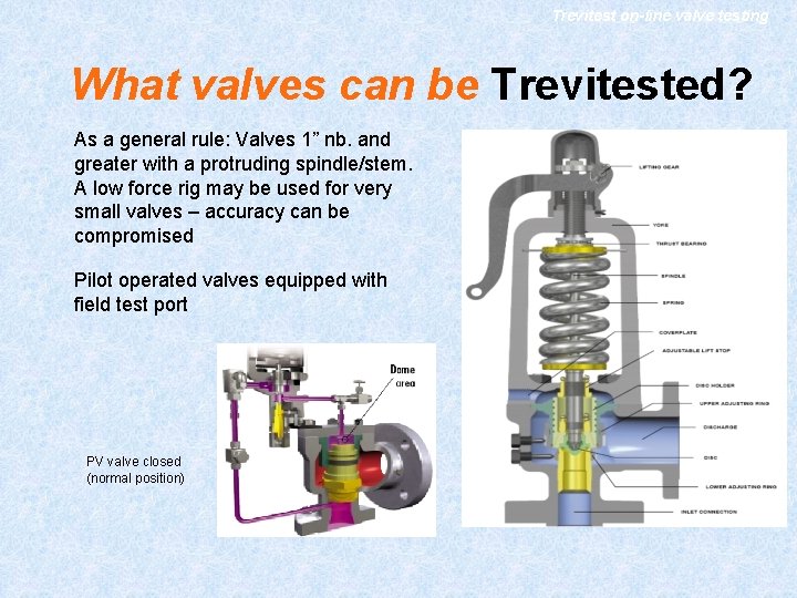 Trevitest on-line valve testing What valves can be Trevitested? As a general rule: Valves