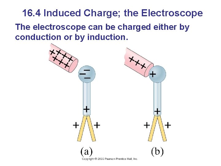 16. 4 Induced Charge; the Electroscope The electroscope can be charged either by conduction