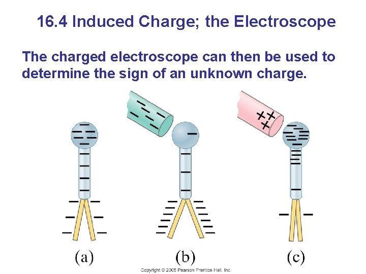 16. 4 Induced Charge; the Electroscope The charged electroscope can then be used to