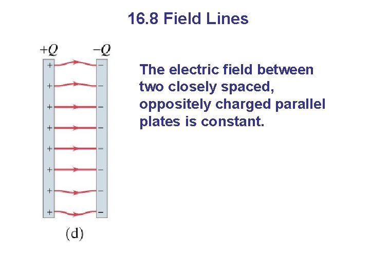 16. 8 Field Lines The electric field between two closely spaced, oppositely charged parallel
