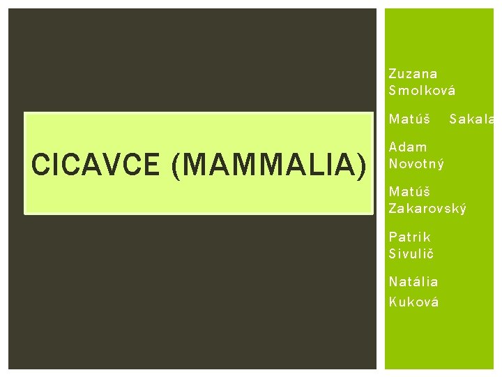 Zuzana Smolková Matúš CICAVCE (MAMMALIA) Sakala Adam Novotný Matúš Zakarovský Patrik Sivulič Natália Kuková Zuzana Smolková Matúš CICAVCE (MAMMALIA) Sakala Adam Novotný Matúš Zakarovský Patrik Sivulič Natália Kuková