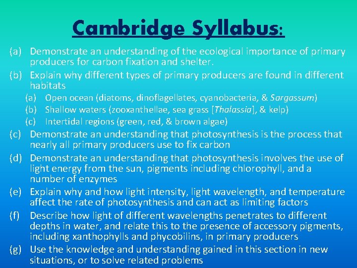Cambridge Syllabus: (a) Demonstrate an understanding of the ecological importance of primary producers for