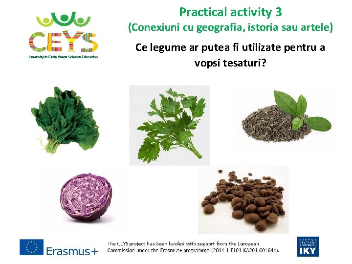 Practical activity 3 (Conexiuni cu geografia, istoria sau artele) Ce legume ar putea fi