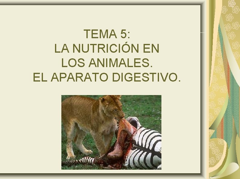 TEMA 5: LA NUTRICIÓN EN LOS ANIMALES. EL APARATO DIGESTIVO. 