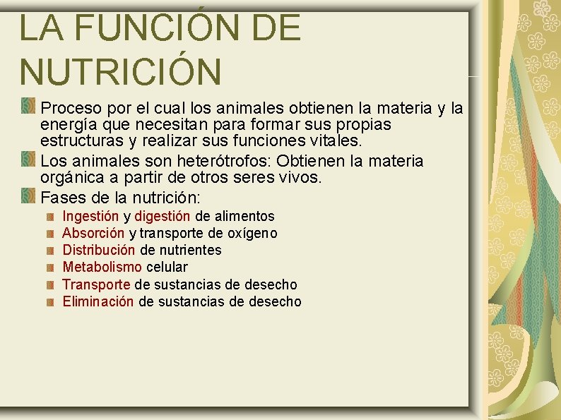 LA FUNCIÓN DE NUTRICIÓN Proceso por el cual los animales obtienen la materia y