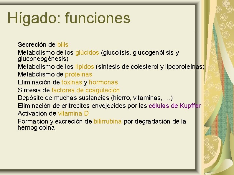 Hígado: funciones Secreción de bilis Metabolismo de los glúcidos (glucólisis, glucogenólisis y gluconeogénesis) Metabolismo