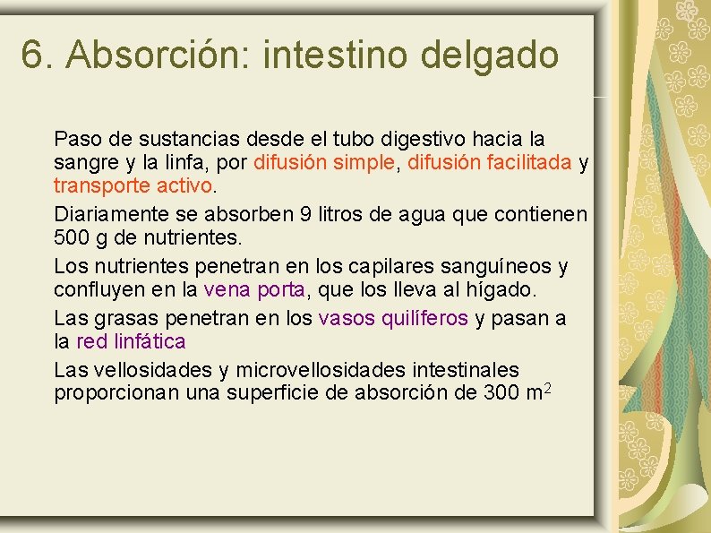 6. Absorción: intestino delgado Paso de sustancias desde el tubo digestivo hacia la sangre