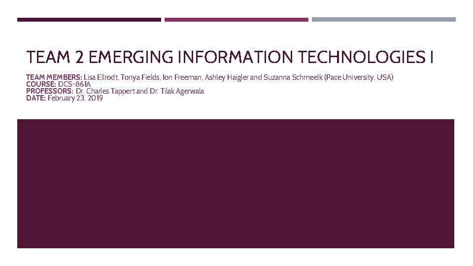TEAM 2 EMERGING INFORMATION TECHNOLOGIES I TEAM MEMBERS: Lisa Ellrodt, Tonya Fields, Ion Freeman,