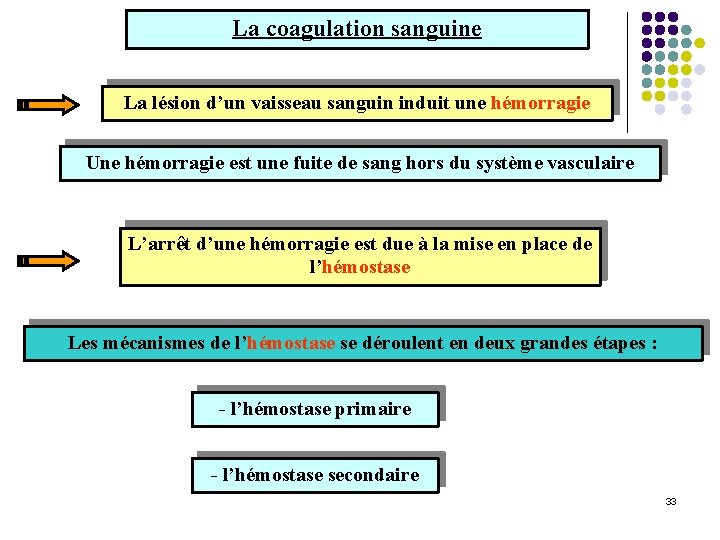 La coagulation sanguine La lésion d’un vaisseau sanguin induit une hémorragie Une hémorragie est