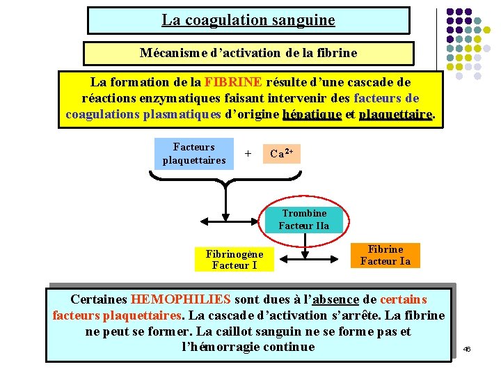 La coagulation sanguine Mécanisme d’activation de la fibrine La formation de la FIBRINE résulte