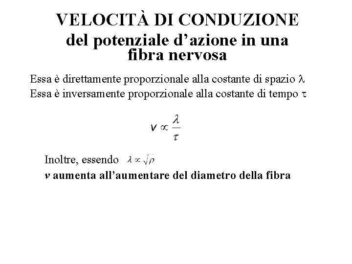 VELOCITÀ DI CONDUZIONE del potenziale d’azione in una fibra nervosa Essa è direttamente proporzionale VELOCITÀ DI CONDUZIONE del potenziale d’azione in una fibra nervosa Essa è direttamente proporzionale