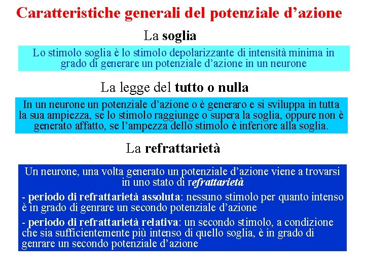 Caratteristiche generali del potenziale d’azione La soglia Lo stimolo soglia è lo stimolo depolarizzante Caratteristiche generali del potenziale d’azione La soglia Lo stimolo soglia è lo stimolo depolarizzante