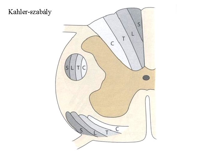 Kahler-szabály 