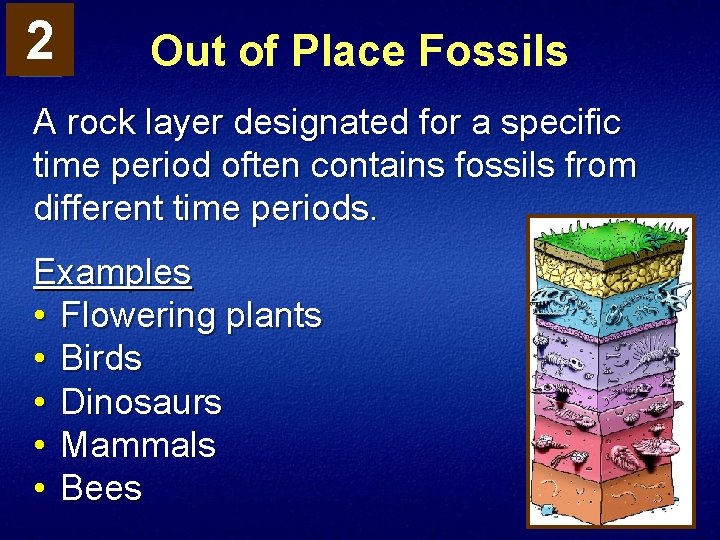 2 Out of Place Fossils A rock layer designated for a specific time period