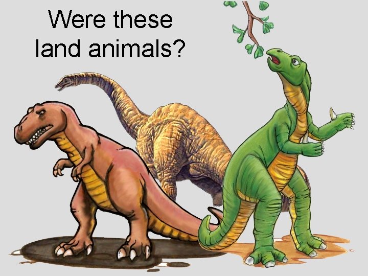 Were these land animals? 