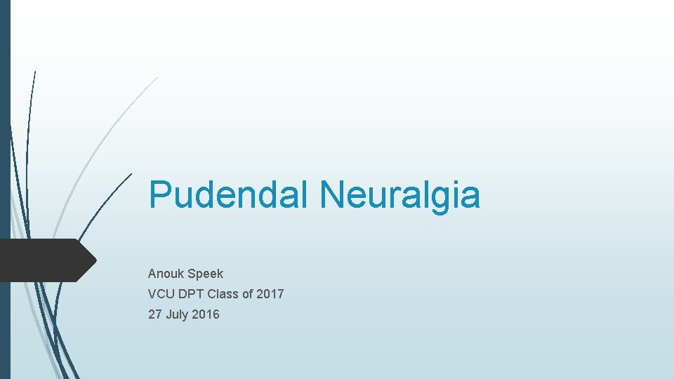 Pudendal Neuralgia Anouk Speek VCU DPT Class of 2017 27 July 2016 