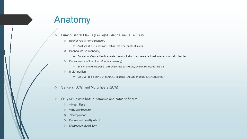 Anatomy Lumbo-Sacral Plexus (L 4 -S 4)>Pudendal nerve(S 2 -S 4)> Inferior rectal nerve