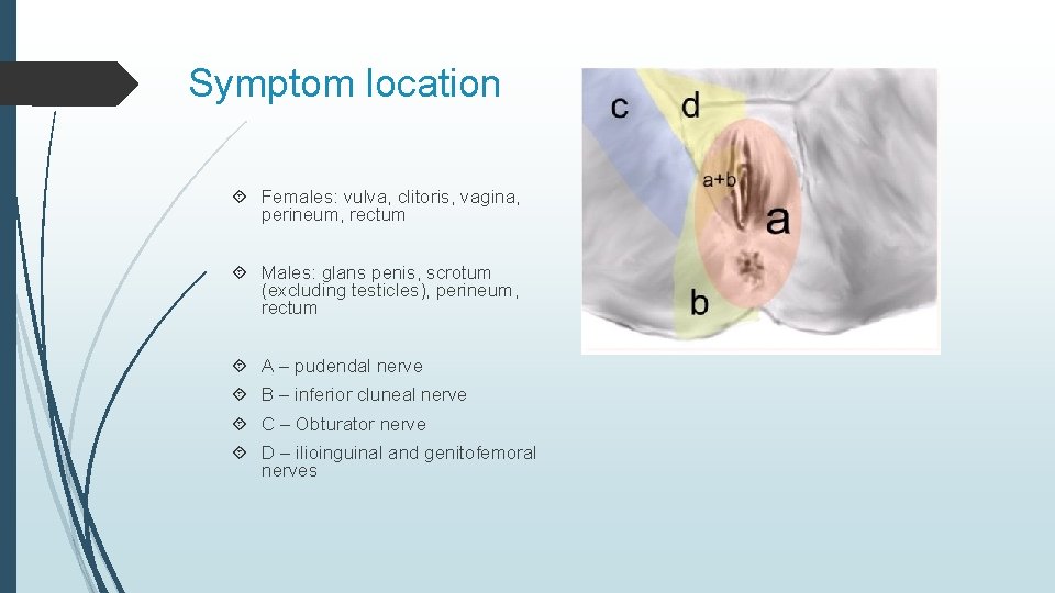 Symptom location Females: vulva, clitoris, vagina, perineum, rectum Males: glans penis, scrotum (excluding testicles),