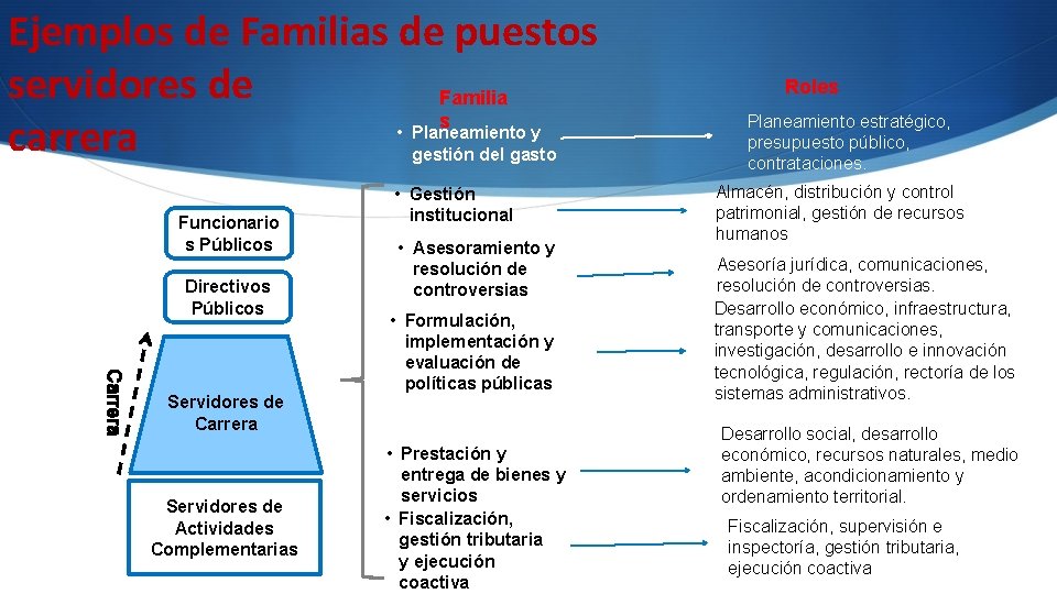 Ejemplos de Familias de puestos servidores de Familia s • carrera Planeamiento y gestión Ejemplos de Familias de puestos servidores de Familia s • carrera Planeamiento y gestión