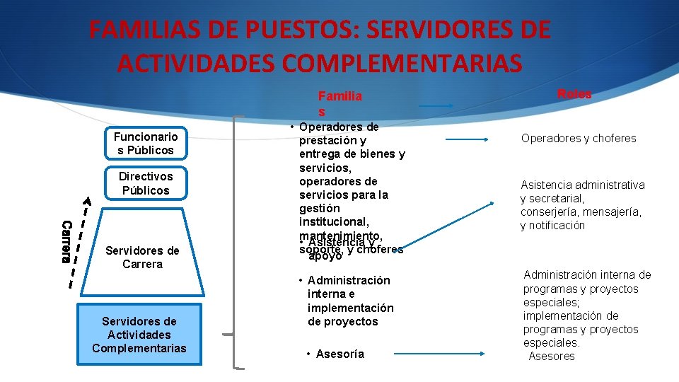 FAMILIAS DE PUESTOS: SERVIDORES DE ACTIVIDADES COMPLEMENTARIAS Familia s Funcionario s Públicos Directivos Públicos FAMILIAS DE PUESTOS: SERVIDORES DE ACTIVIDADES COMPLEMENTARIAS Familia s Funcionario s Públicos Directivos Públicos