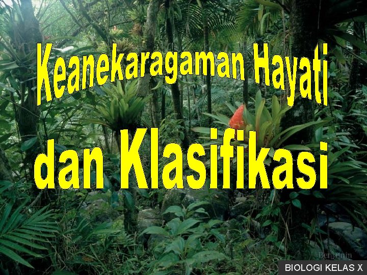 BIOLOGI KELAS X 