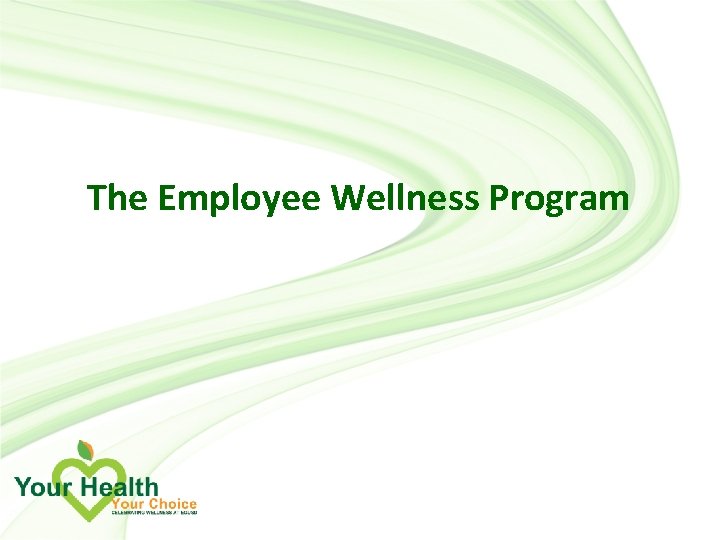 The Employee Wellness Program 