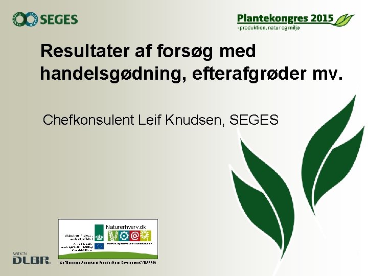 Resultater af forsøg med handelsgødning, efterafgrøder mv. Chefkonsulent Leif Knudsen, SEGES Naturerhverv. dk Ministeriet