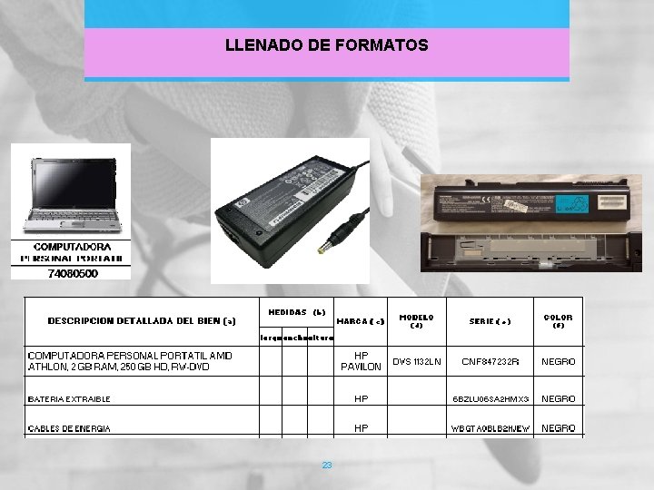 LLENADO DE FORMATOS 23 