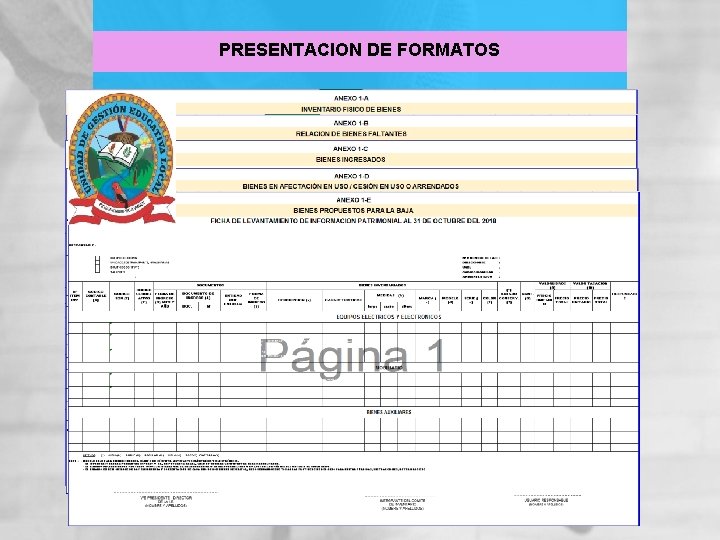 PRESENTACION DE FORMATOS 26 