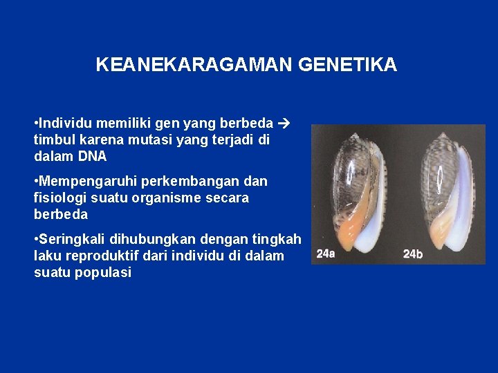 KEANEKARAGAMAN GENETIKA • Individu memiliki gen yang berbeda timbul karena mutasi yang terjadi di