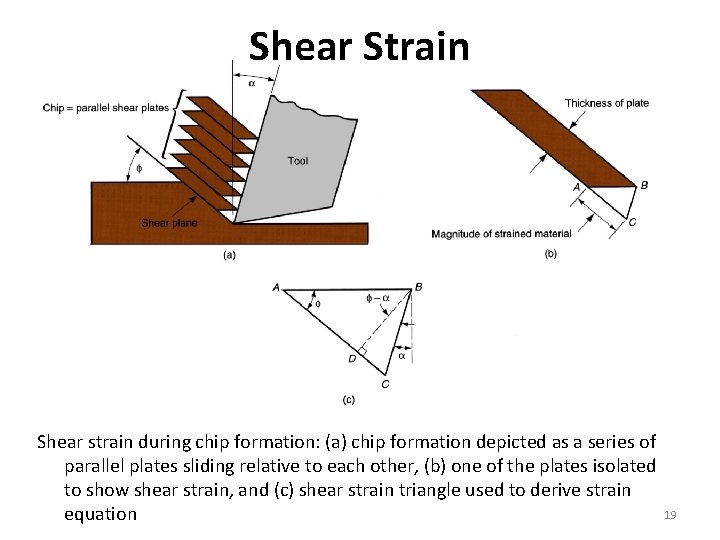 Shear Strain Shear strain during chip formation: (a) chip formation depicted as a series