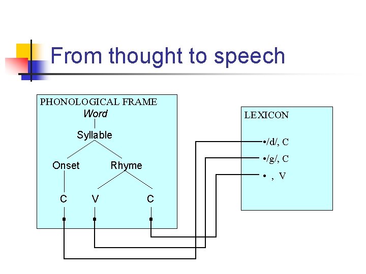 From thought to speech PHONOLOGICAL FRAME Word Syllable Onset C • /d/, C •