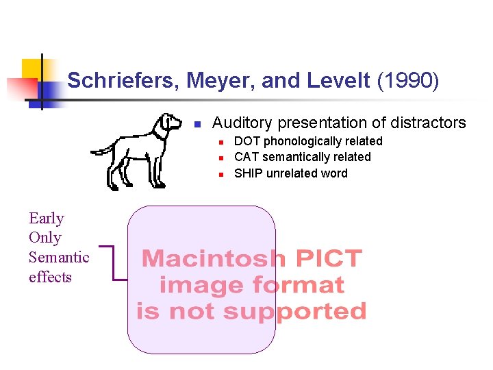 Schriefers, Meyer, and Levelt (1990) n Auditory presentation of distractors n n n Early