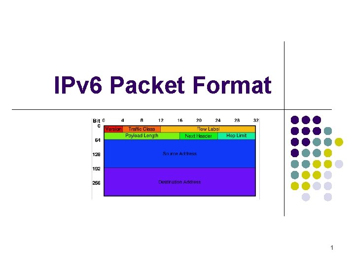 IPv 6 Packet Format 1 