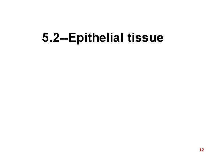 5. 2 --Epithelial tissue 12 