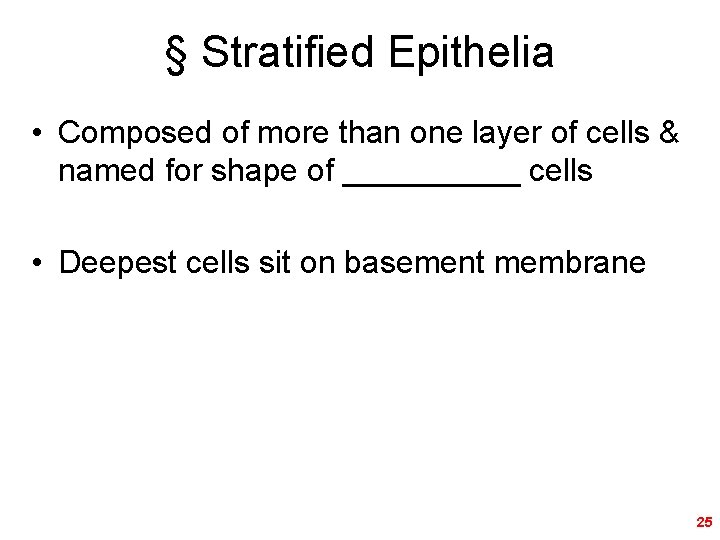 § Stratified Epithelia • Composed of more than one layer of cells & named